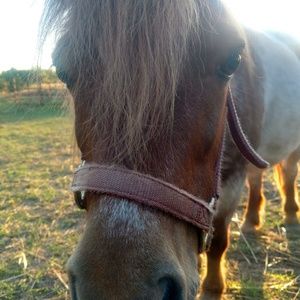 Meet your Posher, Anjelica